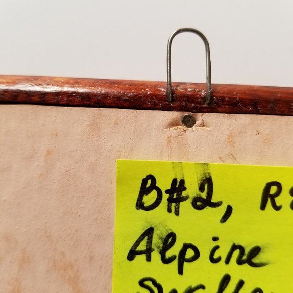 #B2 1 Rare Collectible Real Far East Russian Alpine Black Swallowtail Butterfly - Picture 13 of 13